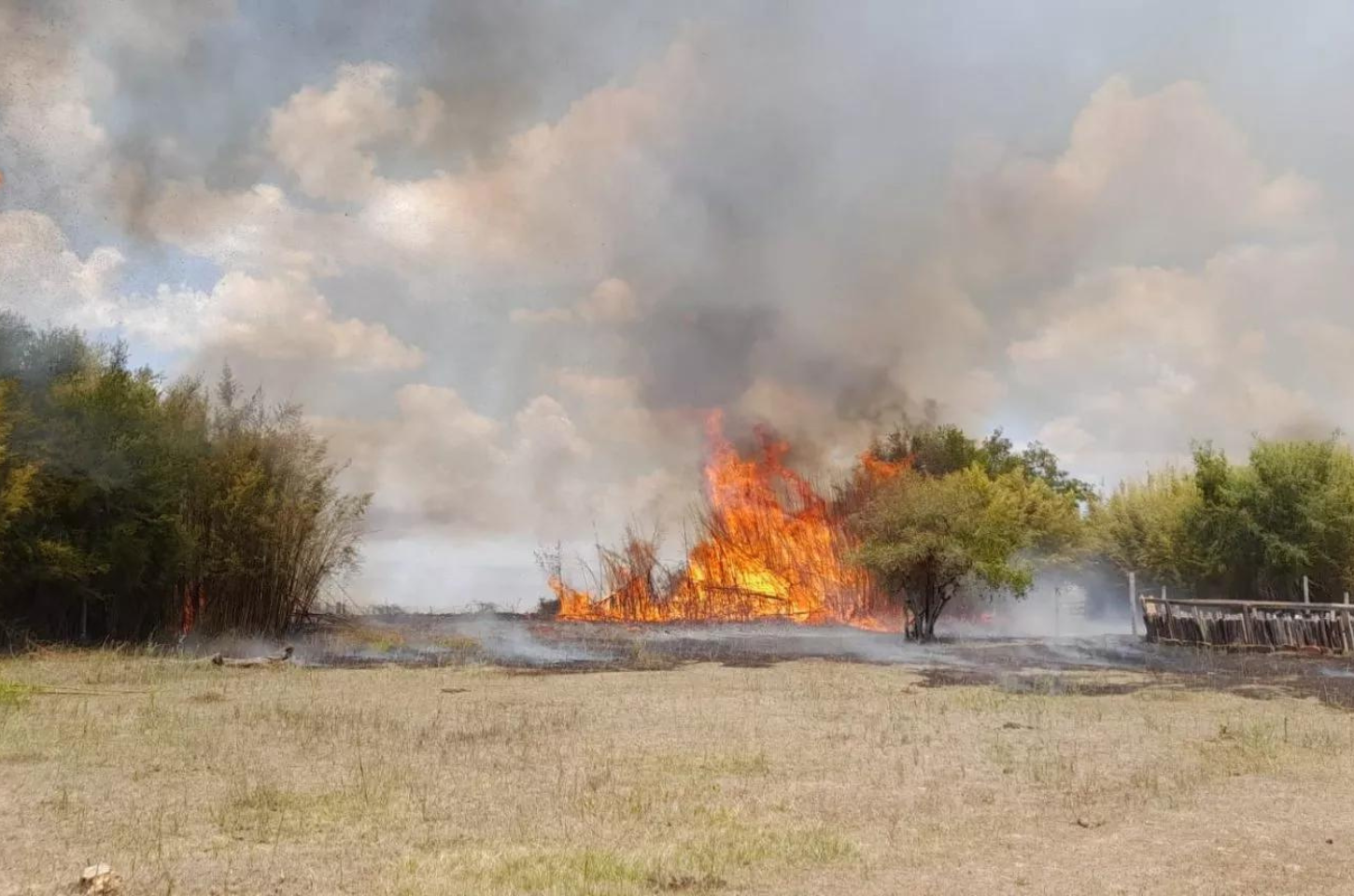 14 Municípios em Situação Emergência por Seca Severa e Estiagem