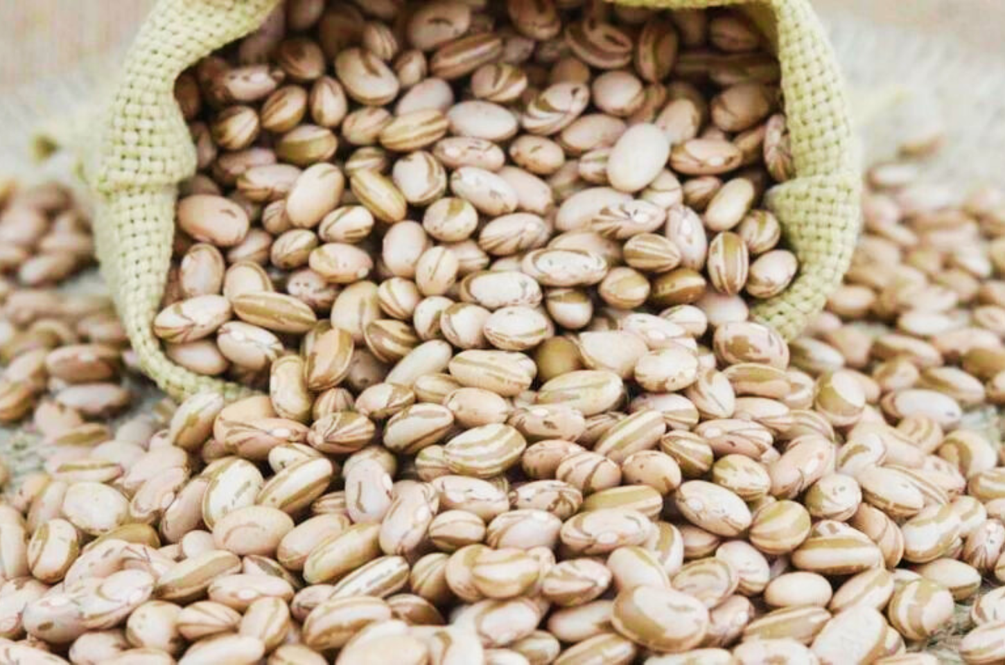 Feijão: Produtores rurais do Mato Grosso enfrentam desafios, mas investem no cultivo