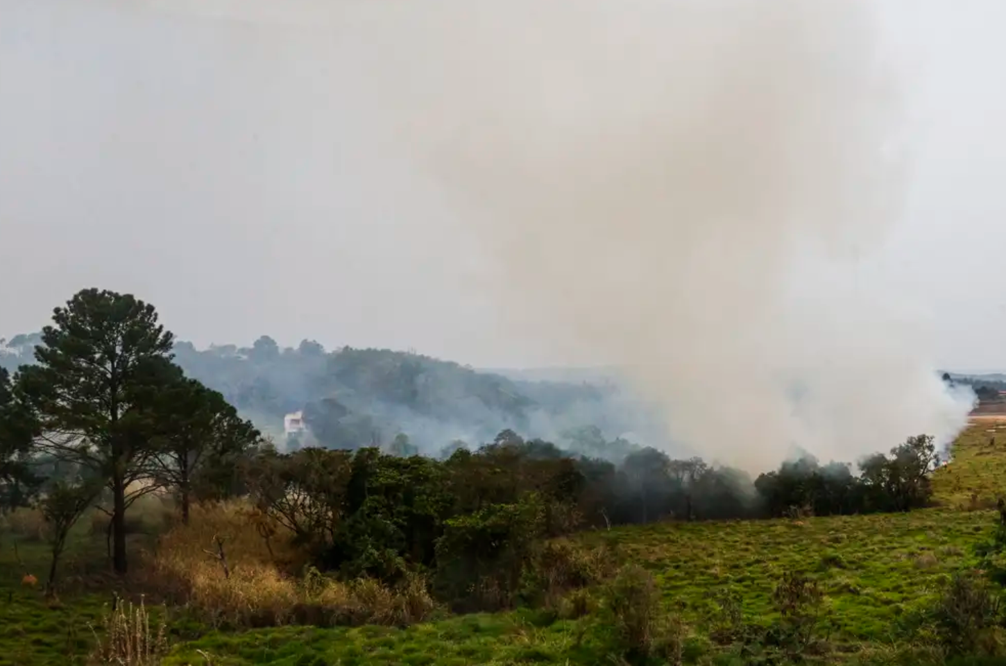 Polícia já Predeu 10 Suspeitos por Incêndios no Estado de São Paulo