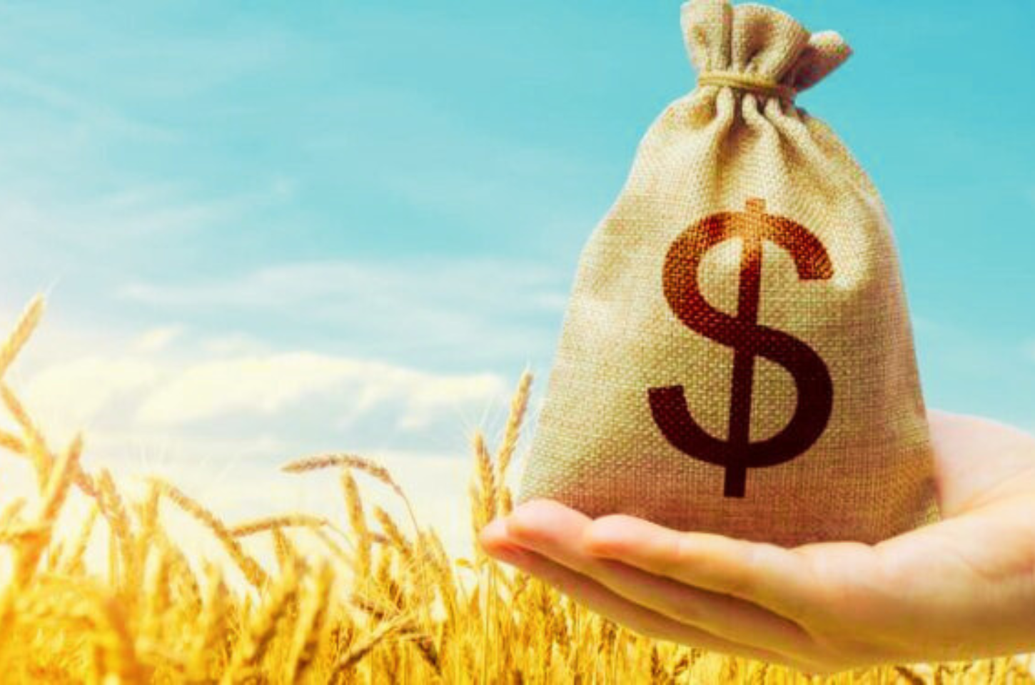 Conheça os maiores bilionários brasileiros do setor agropecuário em 2024