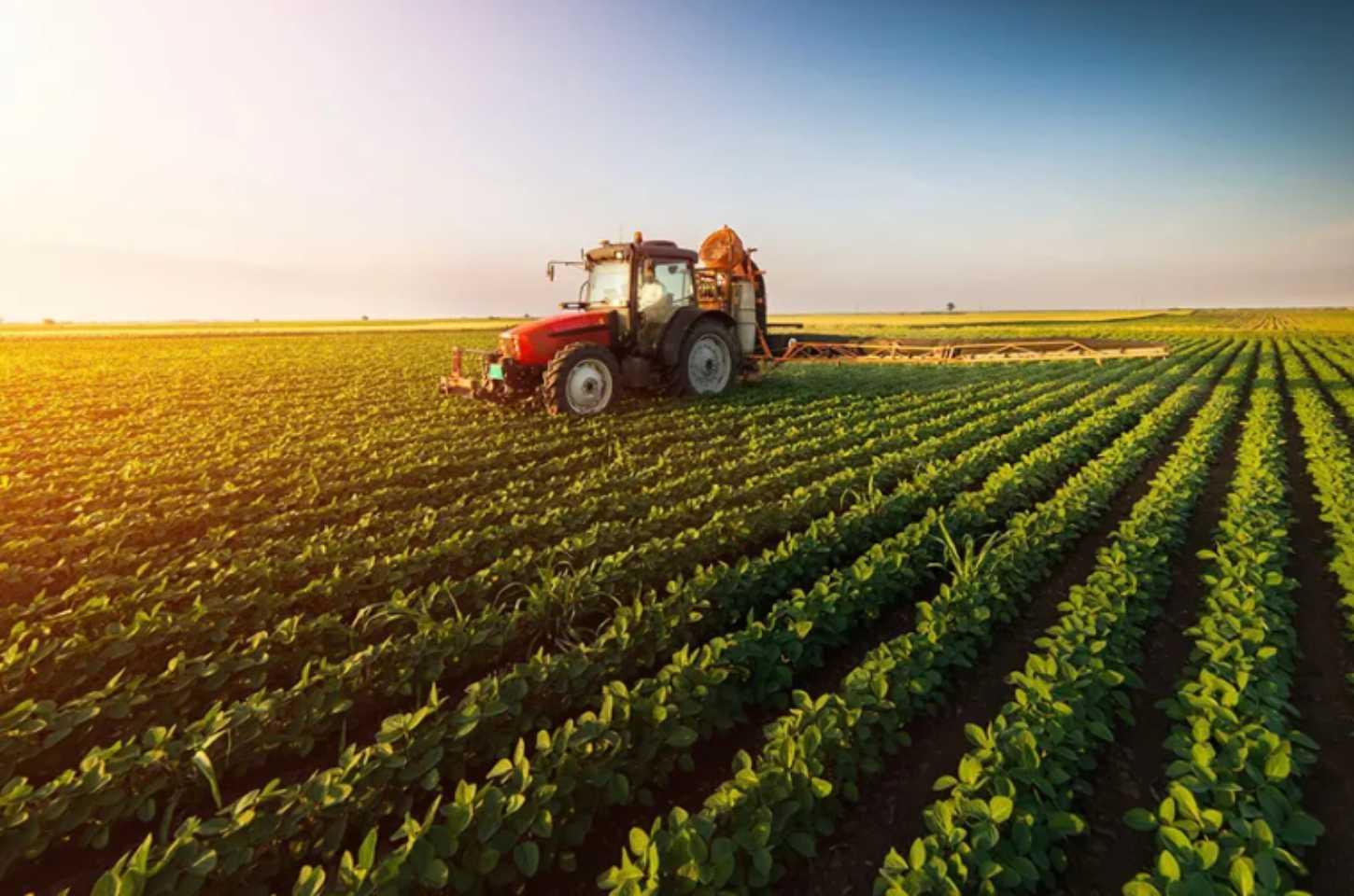 Curso Gratuito Explora a História e o Futuro do Agronegócio Brasileiro