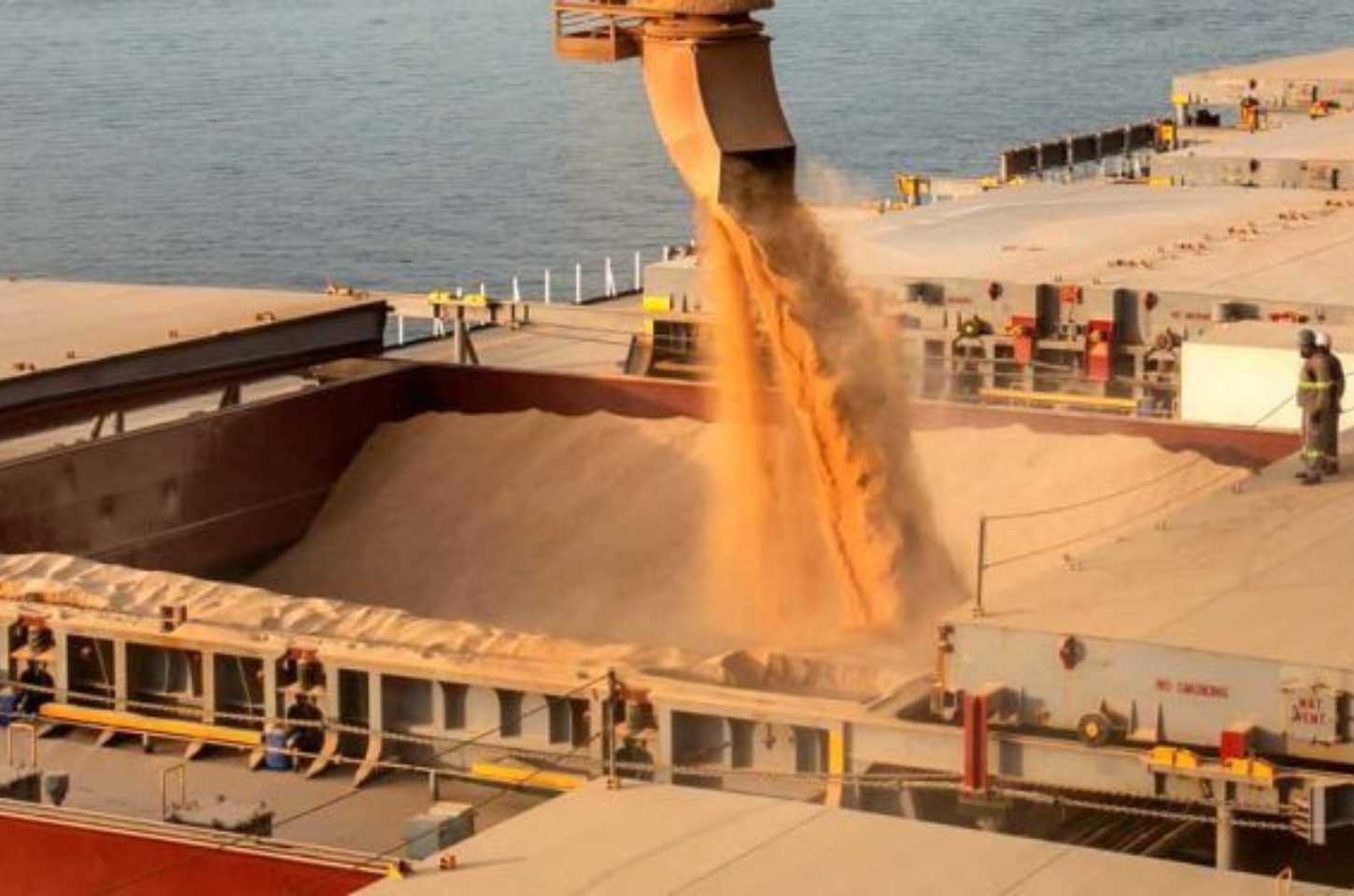 Exportações do Agronegócio Brasileiro Superam US$ 14 Bilhões em Agosto