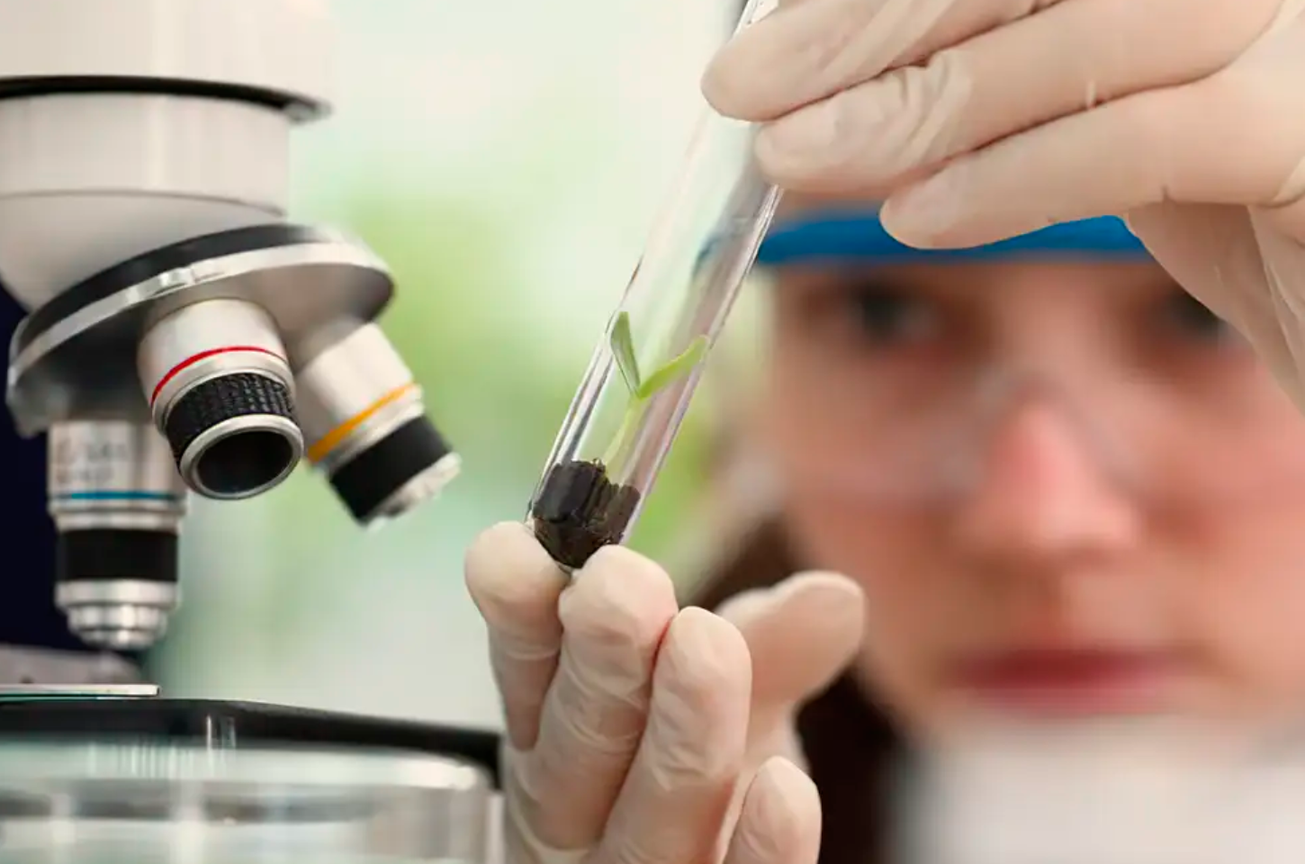 Inscrições abertas para prêmio de ciência destinado a mulheres e meninas