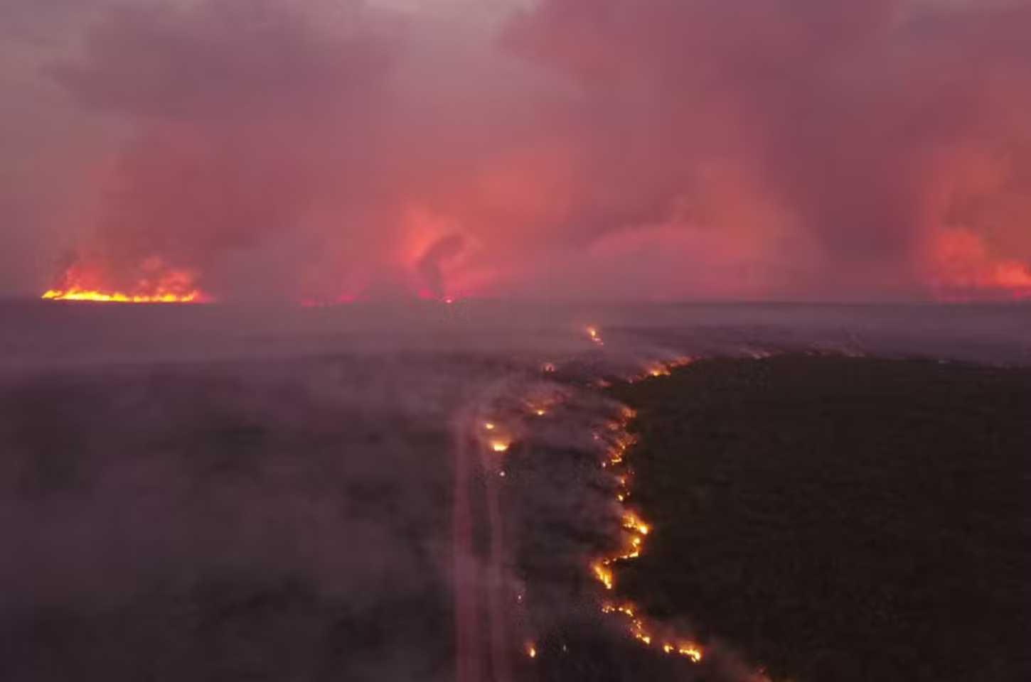 Mais de 100 Pessoas Foram Indiciadas por Incêndios no Mato Grosso