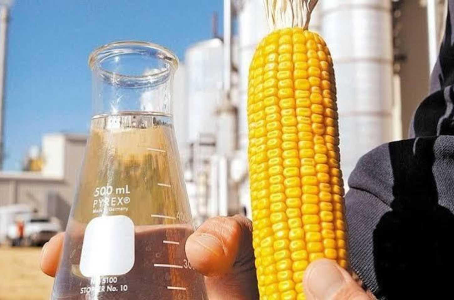 Mato Grosso Anuncia Nova Usina de Etanol de Milho em Alto Araguaia