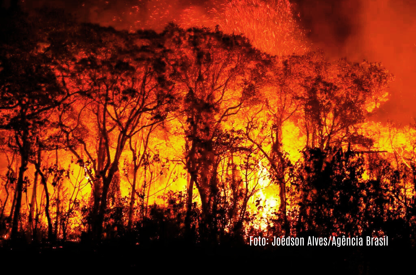 Mato Grosso Registra o Maior Número de Incêndios dos Últimos 10 Anos