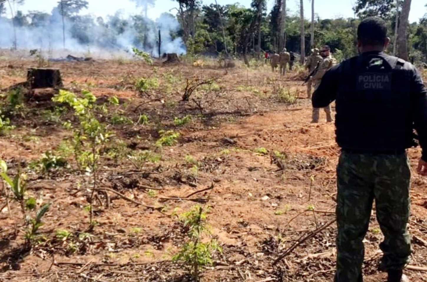 Polícia Civil já Prendeu 16 Pessoas por Crimes de Queimada em Mato Grosso
