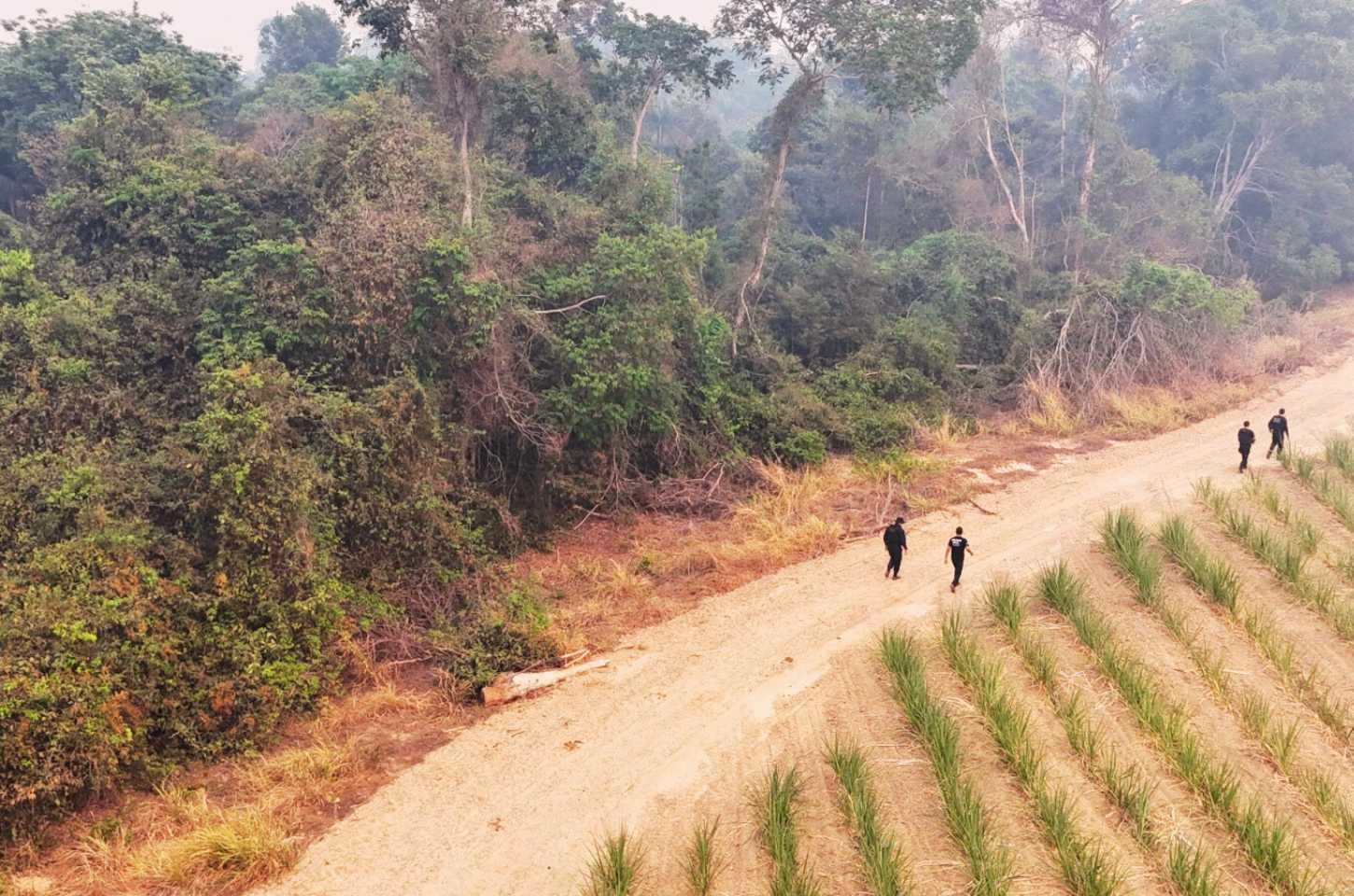 Polícia Prende Quatro por Homicídio e Localiza Corpo de Jovem Desaparecido