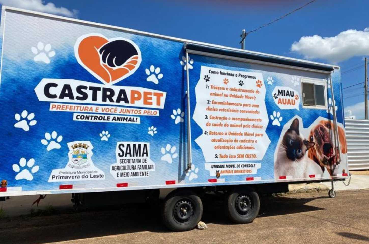 Mais de 1300 animais domésticos castrados em Primavera do Leste