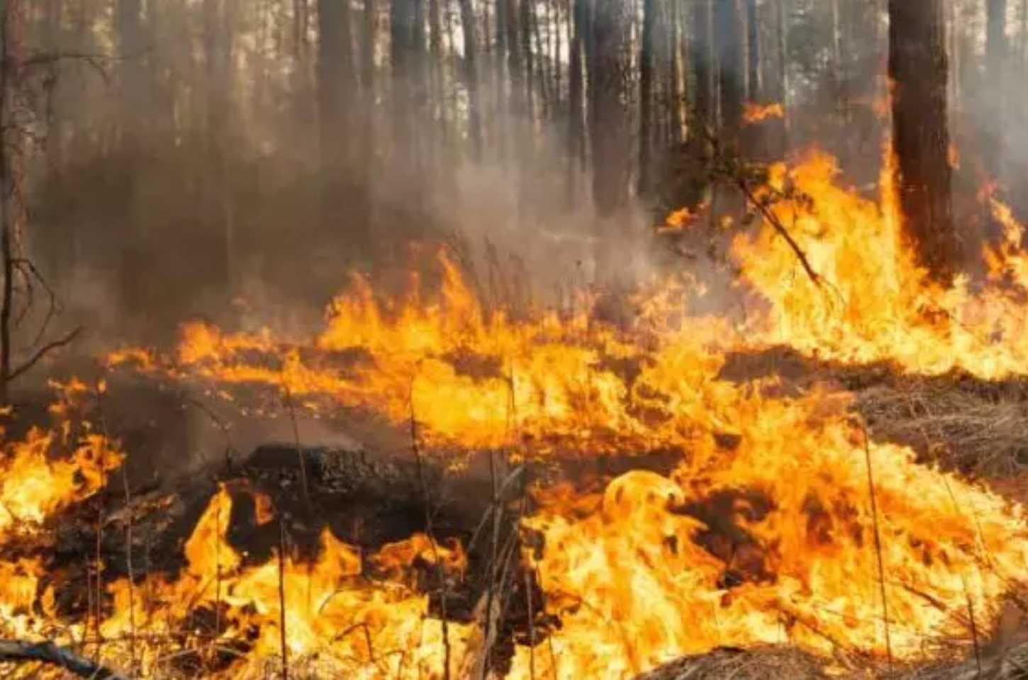 O número de queimadas em setembro foi 30% superior à média histórica do mês