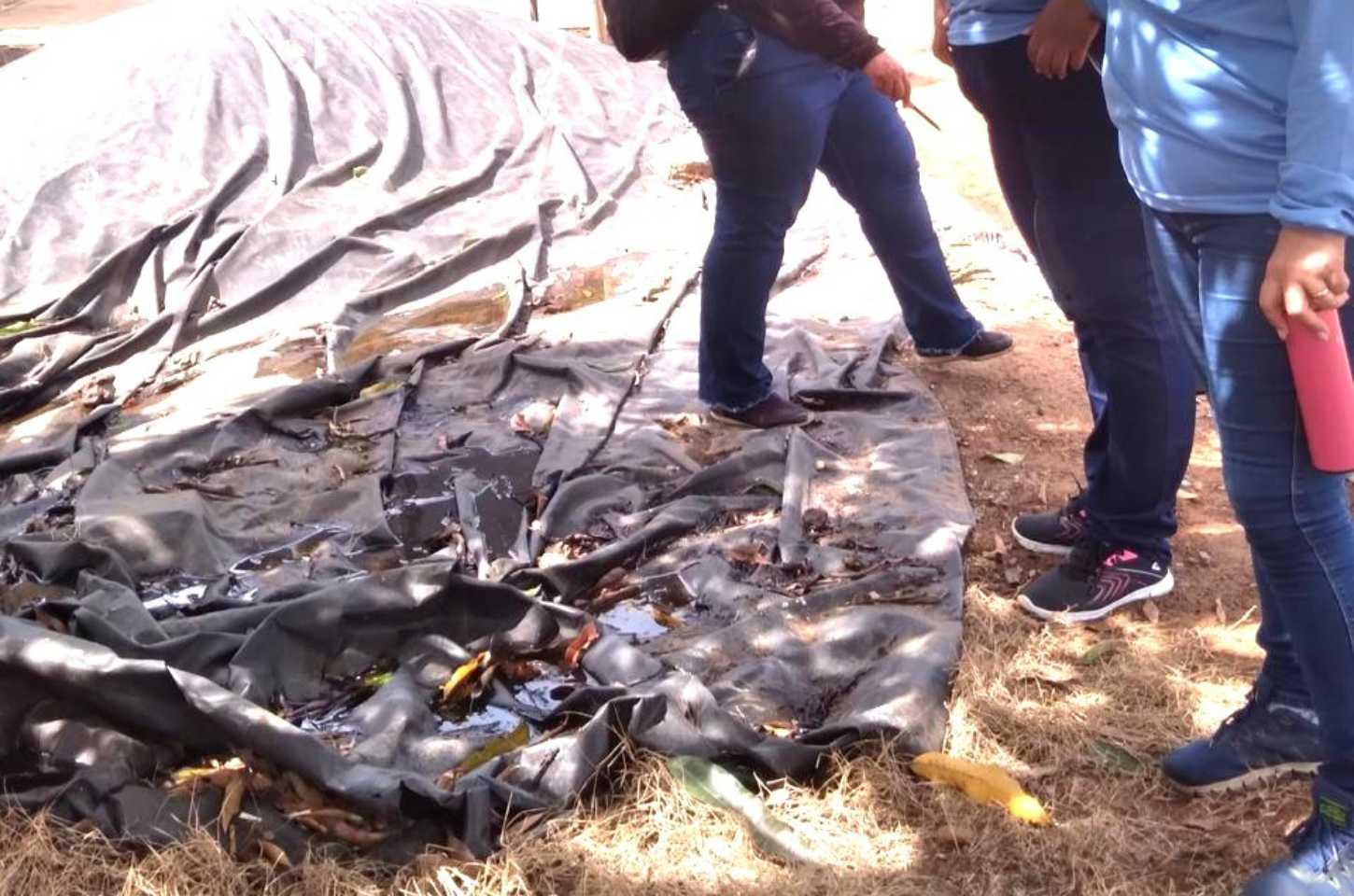 Alerta de Dengue em Primavera do Leste: 767 Casos Confirmados nos Primeiros Meses de 2025