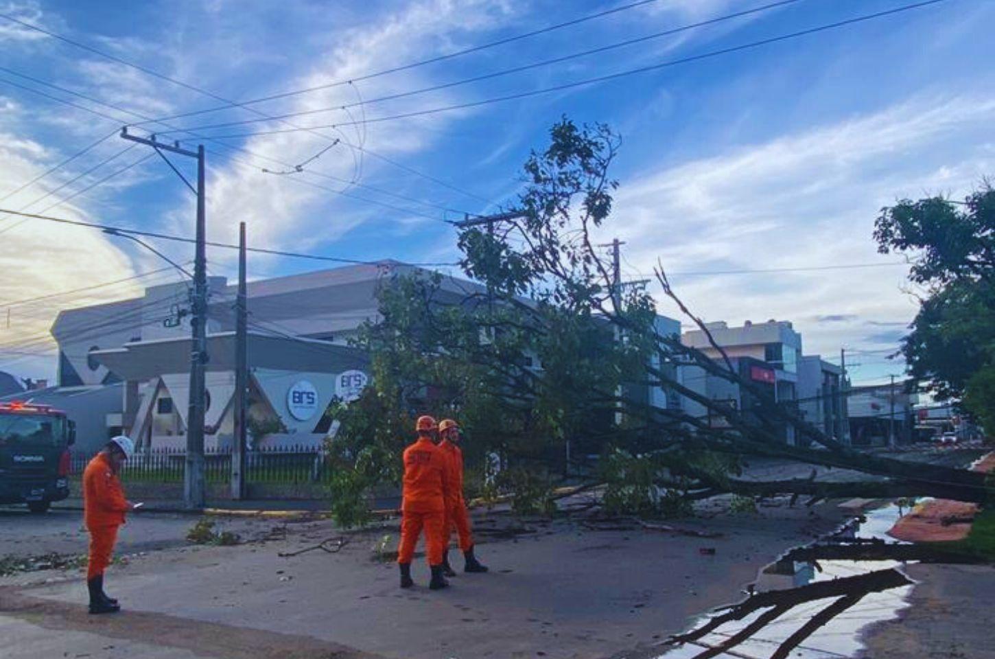 Raios e Ventos Intensos Causam Danos em Estruturas e Quedas de Árvores em Primavera do Leste